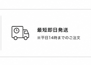 最短即日発送